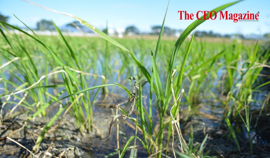 10 Agri Tourism Models That Are Changing the Face of Indian Villages